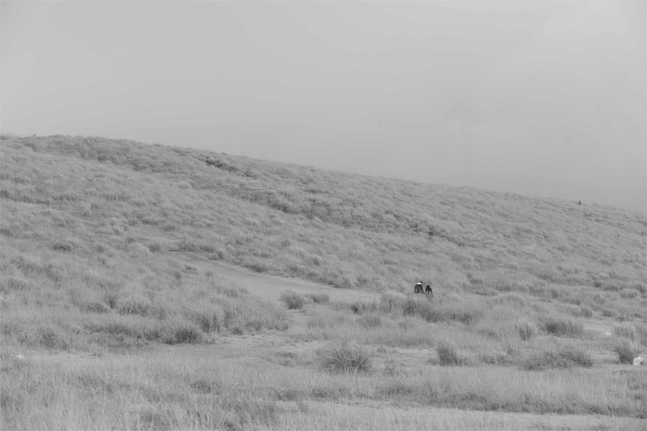 mt.Aso 10